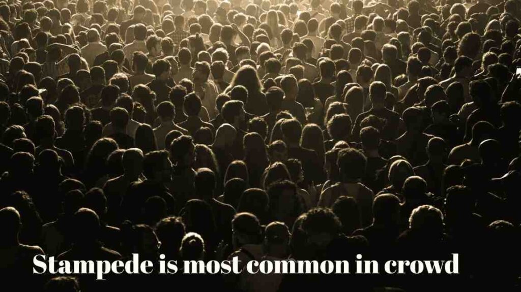 Large dense crowd of people gathered closely together, illustrating overcrowding conditions that can lead to stampede incidents.