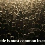 Large dense crowd of people gathered closely together, illustrating overcrowding conditions that can lead to stampede incidents.